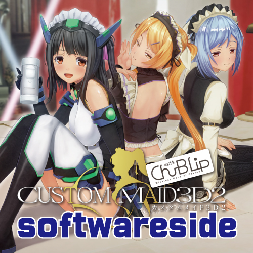 カスタムメイド3D2withChu-BLipsoftware side(特典無)